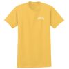 GILDAN HEAVY COTTON T-SHIRT Thumbnail